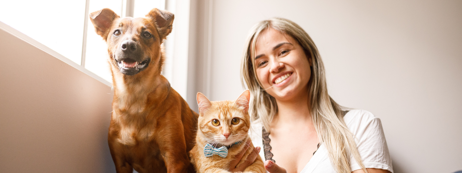 Finding the Best Life Insurance for Your Pets