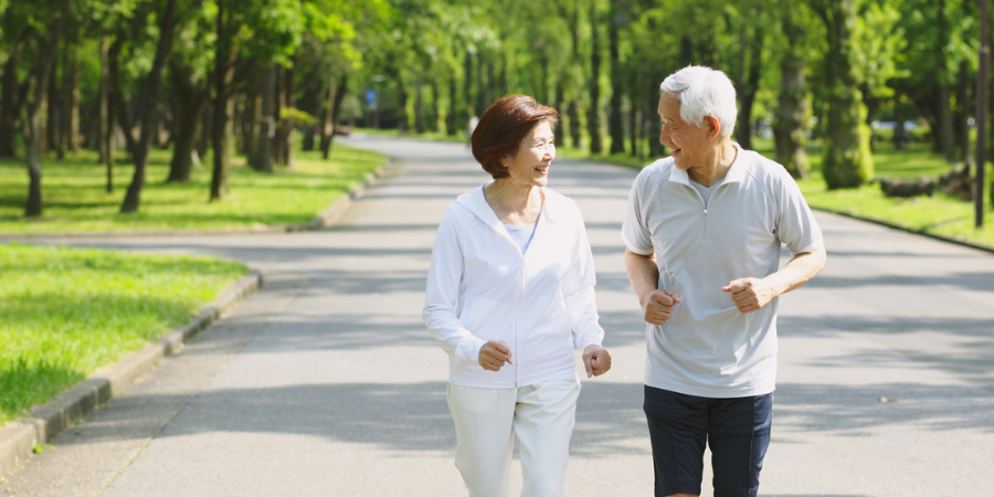 AccuQuote Blog 7 - AccuQuote Older couple walking and chatting on a sunny, tree-lined park path