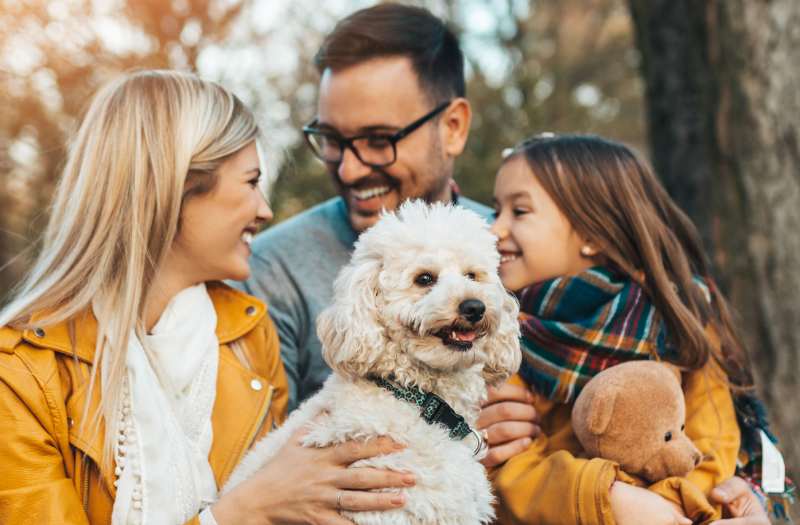 Family of three with a fluffy white dog on a park bench, enjoying autumn sunshine and smiles.