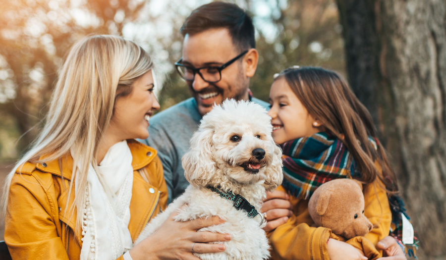 Family of three with a fluffy white dog on a park bench, enjoying autumn sunshine and smiles.